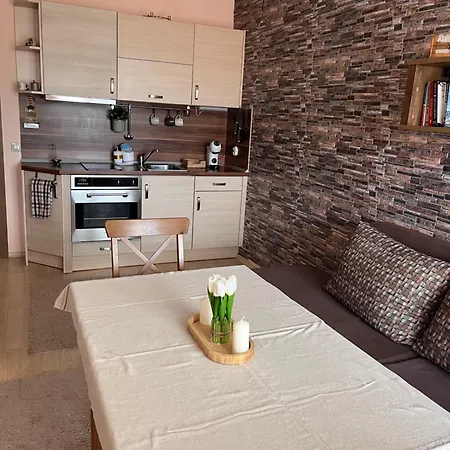 Mirabell - Mountain View & Fireplace Апартаменти Бансько
